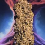 Royal Poop Cannabis Seeds (3 Pack)